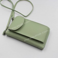 Жіночі гаманці 5802-1 light green