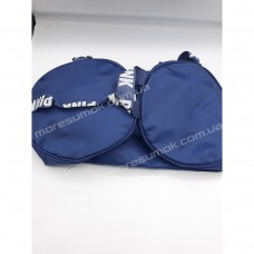 Спортивные сумки 905 blue