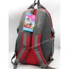 Школьные рюкзаки BH6371 red