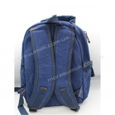 Чоловічі рюкзаки B320 blue