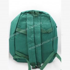 Спортивные рюкзаки 9503 green