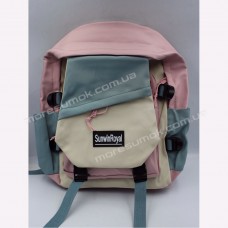 Спортивные рюкзаки 3018 pink
