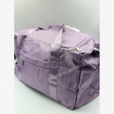 Спортивні сумки 10086 purple
