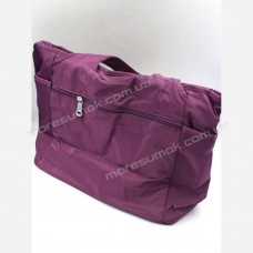 Спортивні сумки 50-2 purple
