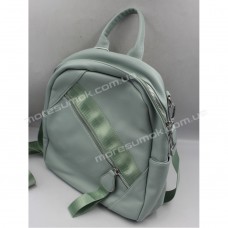 Жіночі рюкзаки CW-18 light green