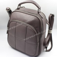 Жіночі рюкзаки HS4255 violet