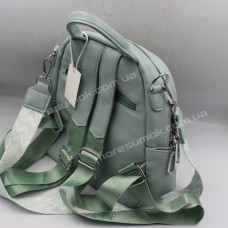 Жіночі рюкзаки D-603 light green