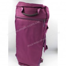 Спортивні сумки T80 purple