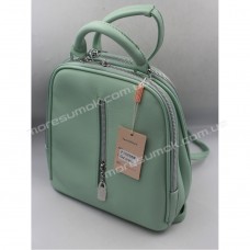 Жіночі рюкзаки P15256 light green