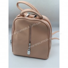 Жіночі рюкзаки P15256 pink