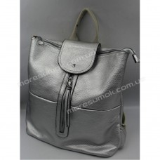 Жіночі рюкзаки H040 silvery