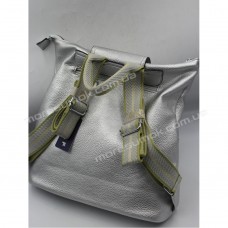 Жіночі рюкзаки H040 silvery