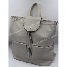 Жіночі рюкзаки H040 gray