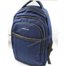 Спортивні рюкзаки IJ82C blue