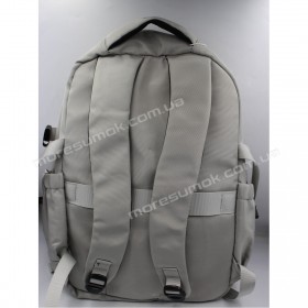 Спортивні рюкзаки N31 light gray