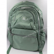 Спортивні рюкзаки 6036 light green