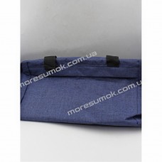 Спортивные сумки bo-019 blue