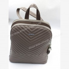 Жіночі рюкзаки CD-8382 gray