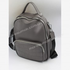 Жіночі рюкзаки BRL-9056 gray