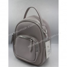 Жіночі рюкзаки S-7041 gray
