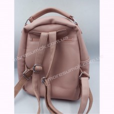 Жіночі рюкзаки S-7031 pink