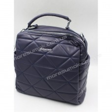 Жіночі рюкзаки 868167 gray purple