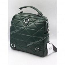 Жіночі рюкзаки 868167 green