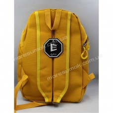 Спортивні рюкзаки 667 big yellow