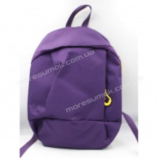 Спортивні рюкзаки 667 big purple