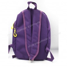 Спортивні рюкзаки 667 big purple