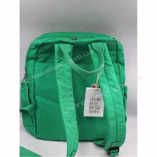 Спортивные рюкзаки 1812 green