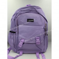 Спортивні рюкзаки 9581 purple