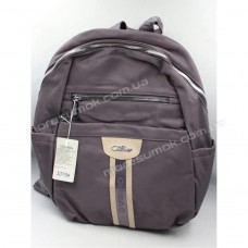 Спортивні рюкзаки 1079 purple