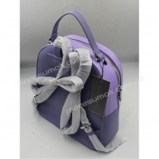 Жіночі рюкзаки BG-17001 purple