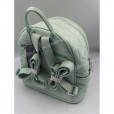 Женские рюкзаки AM-0001 light green