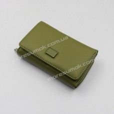 Жіночі гаманці C480-5B green