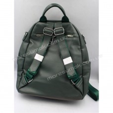 Жіночі рюкзаки HB-00082 green