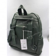 Жіночі рюкзаки HB-00087 green