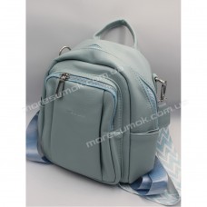 Жіночі рюкзаки D8802 light blue