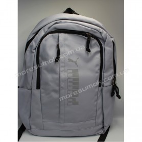Спортивные рюкзаки 6826 Pu light blue
