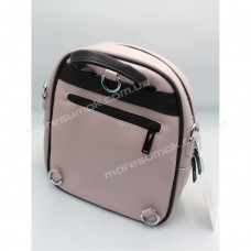 Жіночі рюкзаки S5503 purple