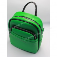 Жіночі рюкзаки S5503 green