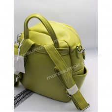Жіночі рюкзаки 9002 green