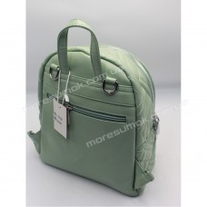 Женские рюкзаки 9117 green