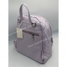 Жіночі рюкзаки 9117 purple