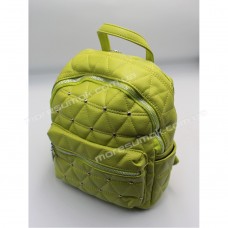 Жіночі рюкзаки P15324 green
