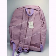 Спортивные рюкзаки F2305 purple
