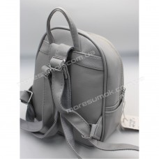 Жіночі рюкзаки EY-8 grayish blue