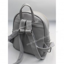 Жіночі рюкзаки EY-10 grayish blue