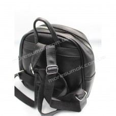 Жіночі рюкзаки EY-20 black